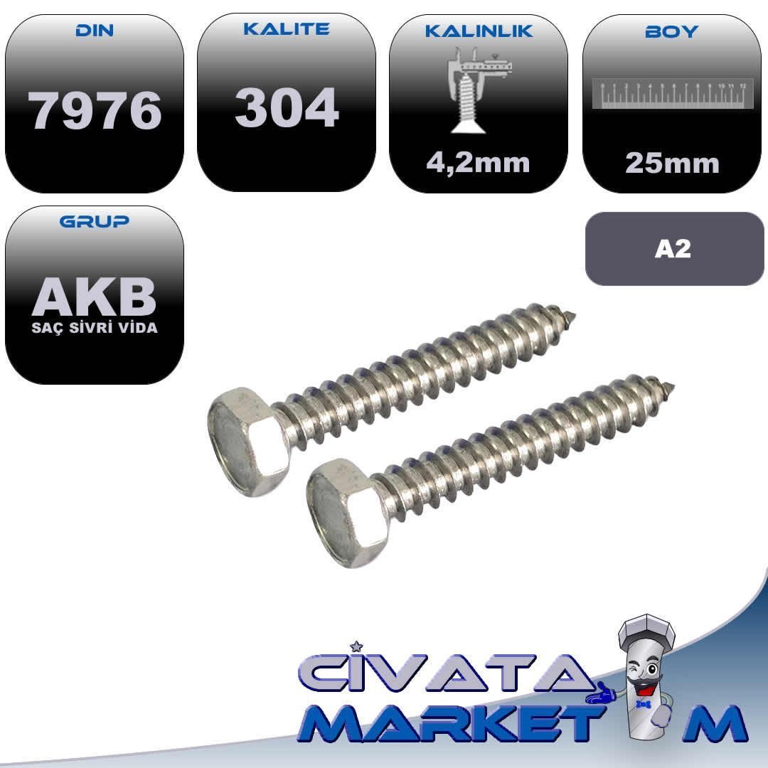 4,2X25 AKB SAC VİDASI A2 304