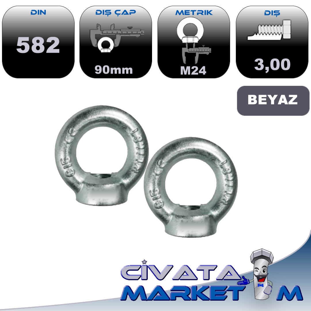 DIN582 AYBOLT (Eyebolt) DİŞİ M24x3,0