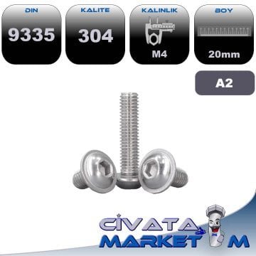 M4*20 BOMBE BAŞ FLANŞLI İMBUS A2