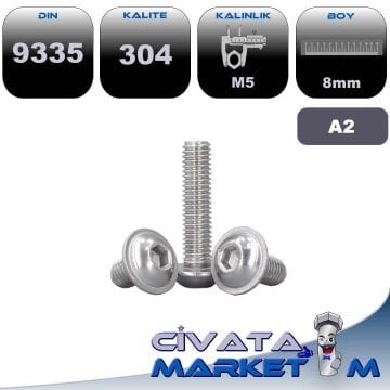 M5*8 BOMBE BAŞ FLANŞLI İMBUS A2