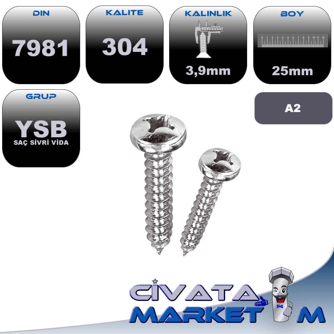 3,9X25 YSB SAC VİDASI A2 304