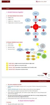 Dizgi Kitap ÖABT Din Kültürü ve Ahlak Bilgisi OKU Konu Anlatımlı Gökhan Bayraktar  2021