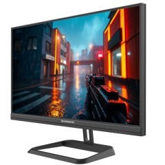 GameBooster 25F320FF 24.5'' 300Hz Fast IPS 0.5ms FHD F-Sync/G-Sync 2*HDMI-2*DP RGB Flat Gaming Monitör