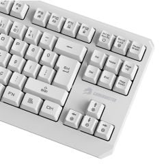 GameBooster G75 Elya Rainbow Aydınlatmalı Beyaz TKL Membrane Oyun Klavyesi