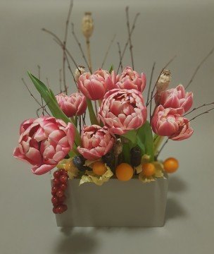 TULIPY