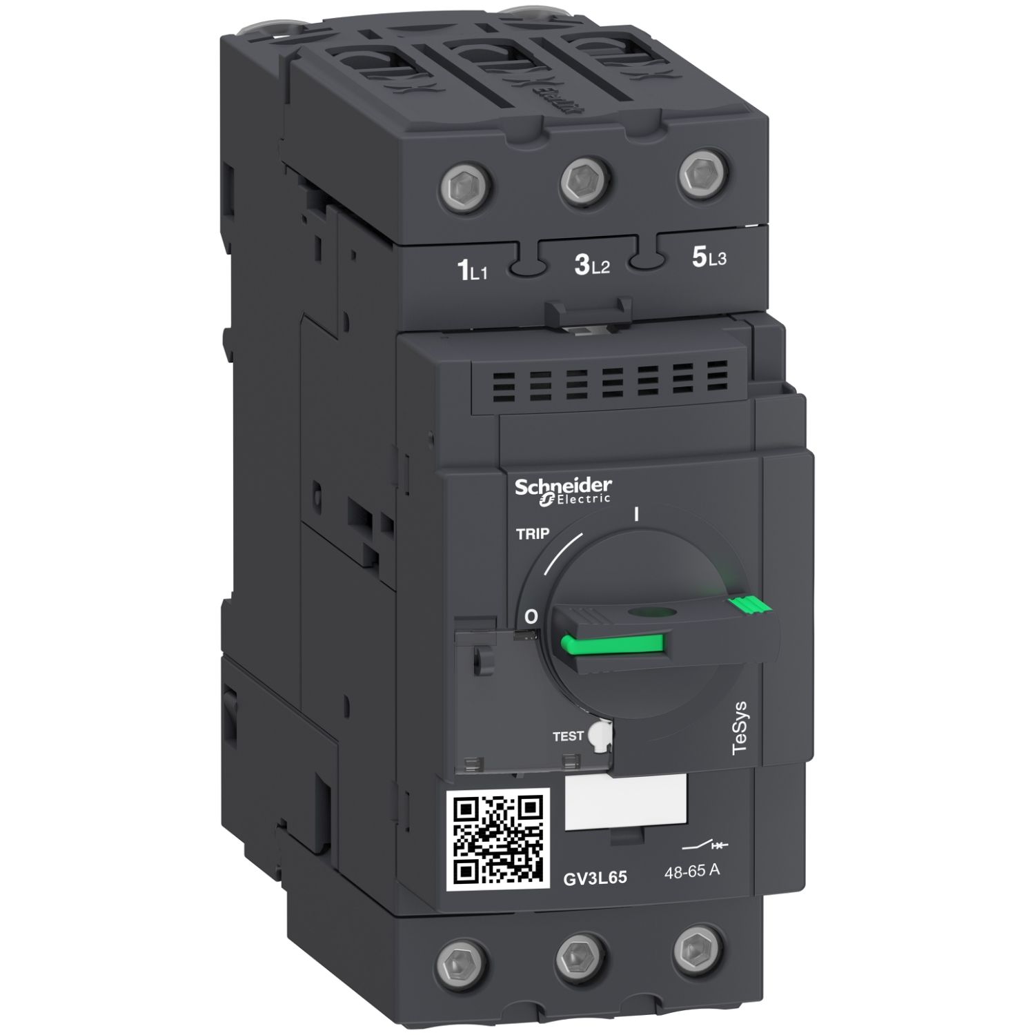 GV3L65 MOTOR KORUMA ŞALTERİ 65A