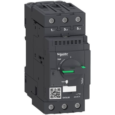 GV3L65 MOTOR KORUMA ŞALTERİ 65A