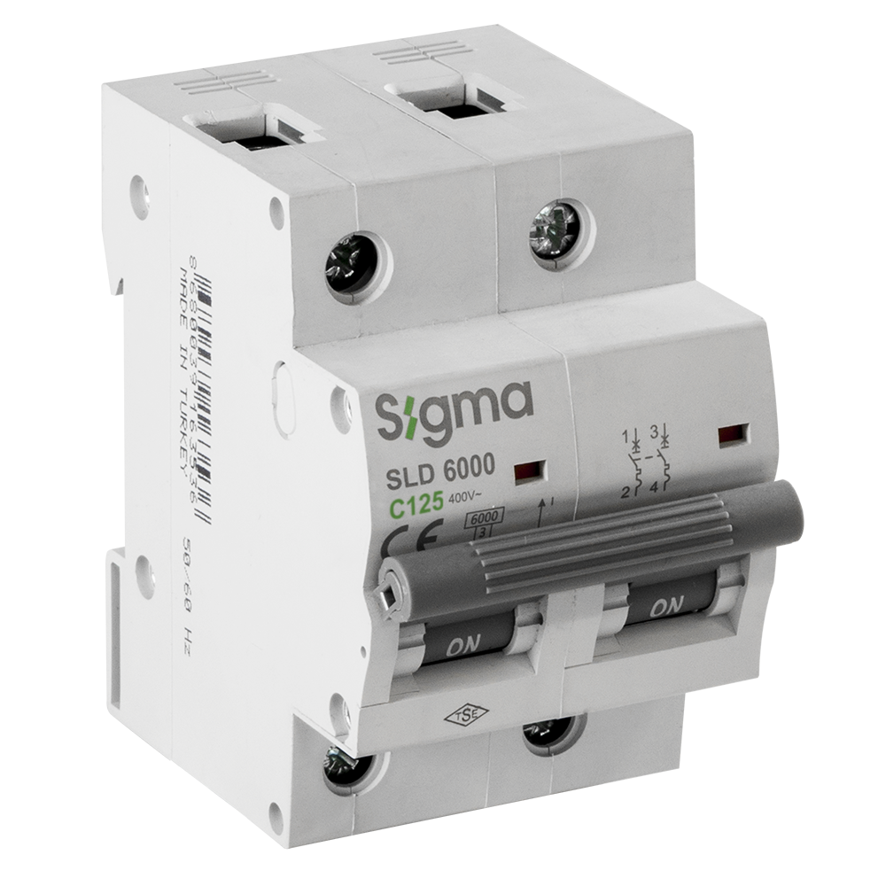 6KA C125 2P Otomatik Sigorta SLD6000