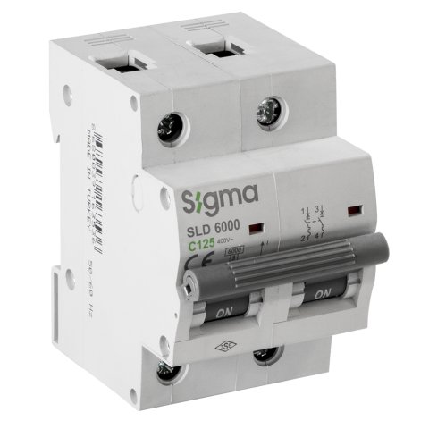 6KA C125 2P Otomatik Sigorta SLD6000