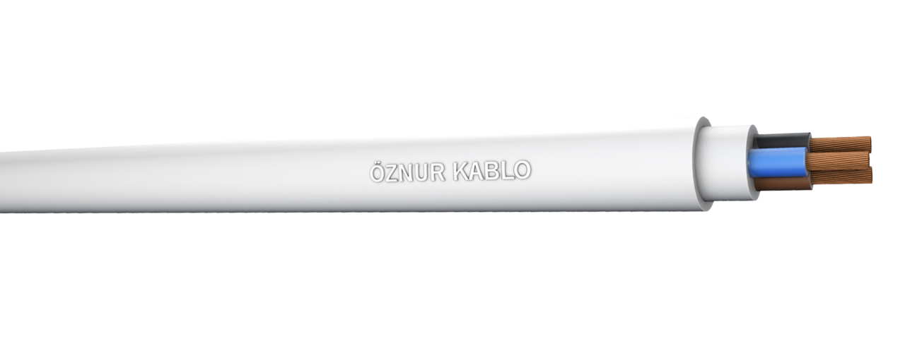 H05VV-F 3X1       TTR  Beyaz Kablo - 100 metre