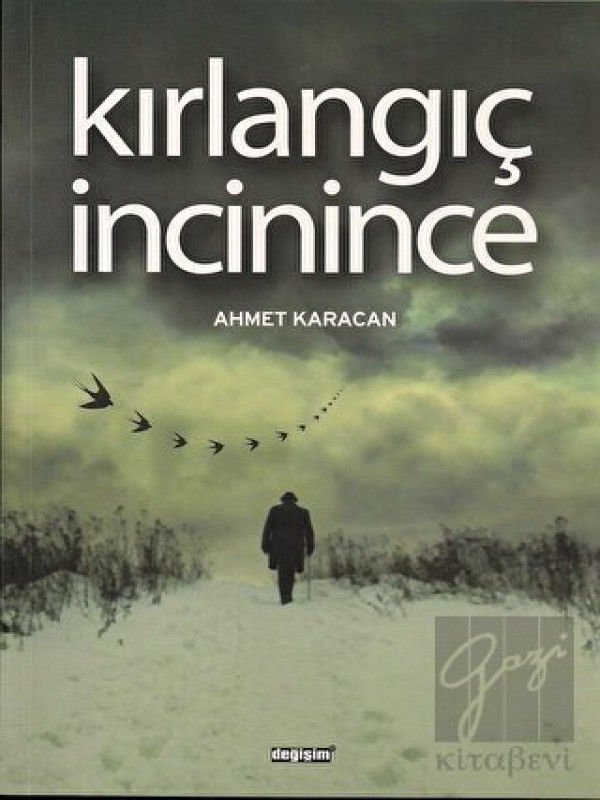 Kırlangıç İncinince