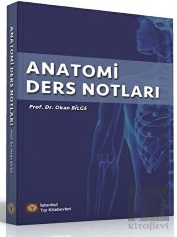 Anatomi Ders Notları