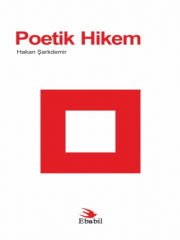 Poetik Hikem (Eleştiri)
