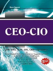CEO & CIO (ERP, DAS, SCM, GIS, CRM Kapsamları ve Karar Destek Sistemleri)