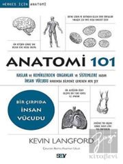 Anatomi 101