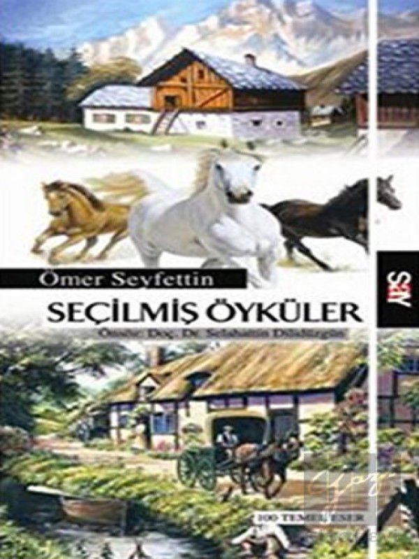 Seçilmiş Öyküler