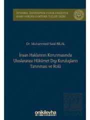 İnsan Haklarının Korunmasında Uluslararası Hükümet Dışı Kuruluşların Tanınması ve Rolü