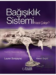 Bağışıklık Sistemi Nasıl Çalışır