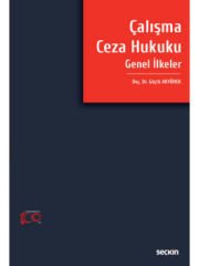 Çalışma Ceza Hukuku Genel İlkeler