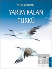 Yarım Kalan Türkü