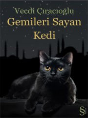 Gemileri Sayan Kedi