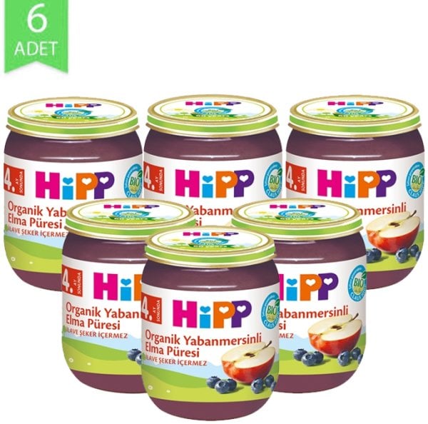 Hipp Organik Meyve Püresi Yaban Mersini Elma 125gr | 6 Adet