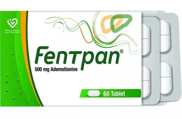 Fentpan 500mg Ademetionine 60 Tablet