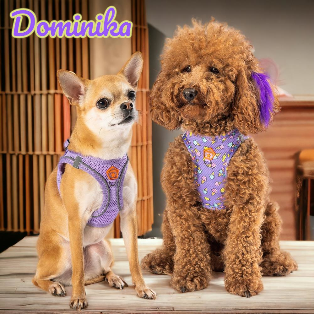 Dominika 2li Air-mesh Köpek Göğüs Tasması Kedi Göğüs Tasması Köpek Tasması