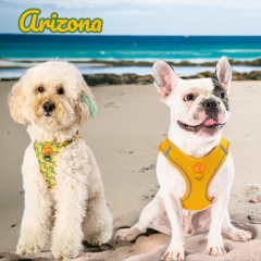 Arizona 2li Air-mesh Köpek Göğüs Tasması Kedi Göğüs Tasması Köpek Tasması