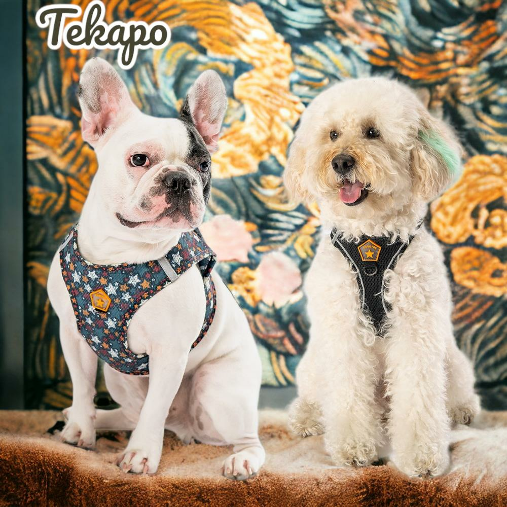 Tekapo 2li Air-mesh Köpek Göğüs Tasması Kedi Göğüs Tasması Köpek Tasması