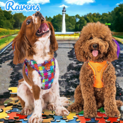 Ravens 2li Air-mesh Köpek Göğüs Tasması Kedi Göğüs Tasması Köpek Tasması