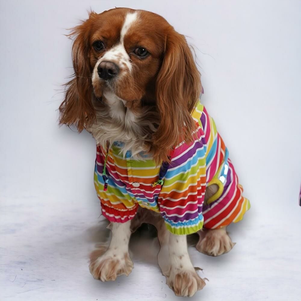 Colorum Küçük Ve Orta Irklar İçin Tulum-Mont Yağmurluk Kedi Köpek Kıyafeti