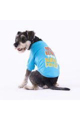 Turkuaz Power Köpek Sweati Köpek Kıyafeti Kedi Kıyafeti