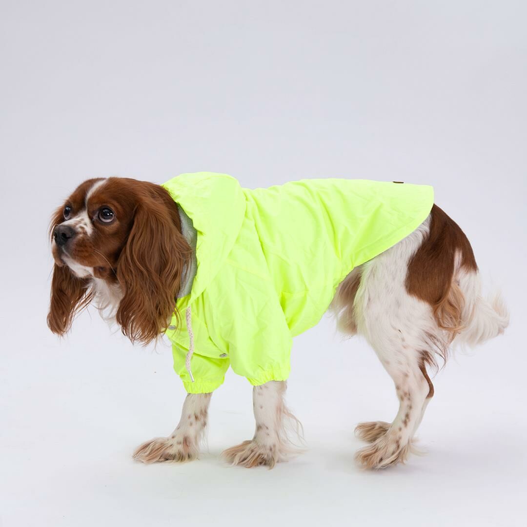 Neon Sarı Mont Köpek Mont Köpek Kıyafeti Köpek Yağmurluğu(Küçük-Büyük Irklar)