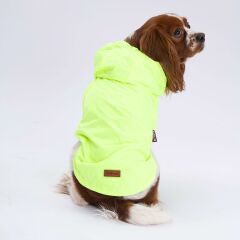 Neon Sarı Mont Köpek Mont Köpek Kıyafeti Köpek Yağmurluğu(Küçük-Büyük Irklar)