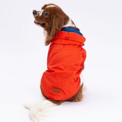Turuncu Mont Köpek Mont  Köpek Kıyafeti Köpek Yağmurluğu