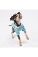 Mavi Good Day Kedi Köpek Sweati - Kedi Köpek Kıyafeti