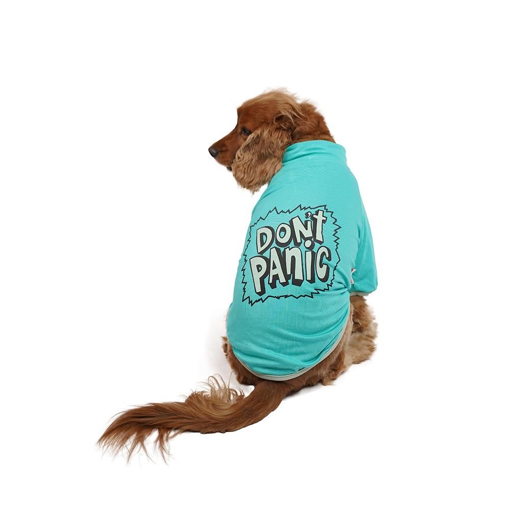 Mint Don't Panic Sweat Kedi Köpek Sweat Kedi Köpek Kıyafeti