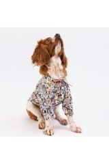 Dogs Kedi Köpek Gömleği - Kedi Köpek Kıyafeti