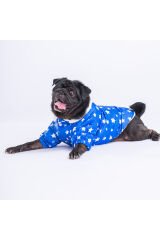 Mavi Stars Köpek Montu Köpek Yağmurluk Köpek Kıyafeti Köpek Elbisesi