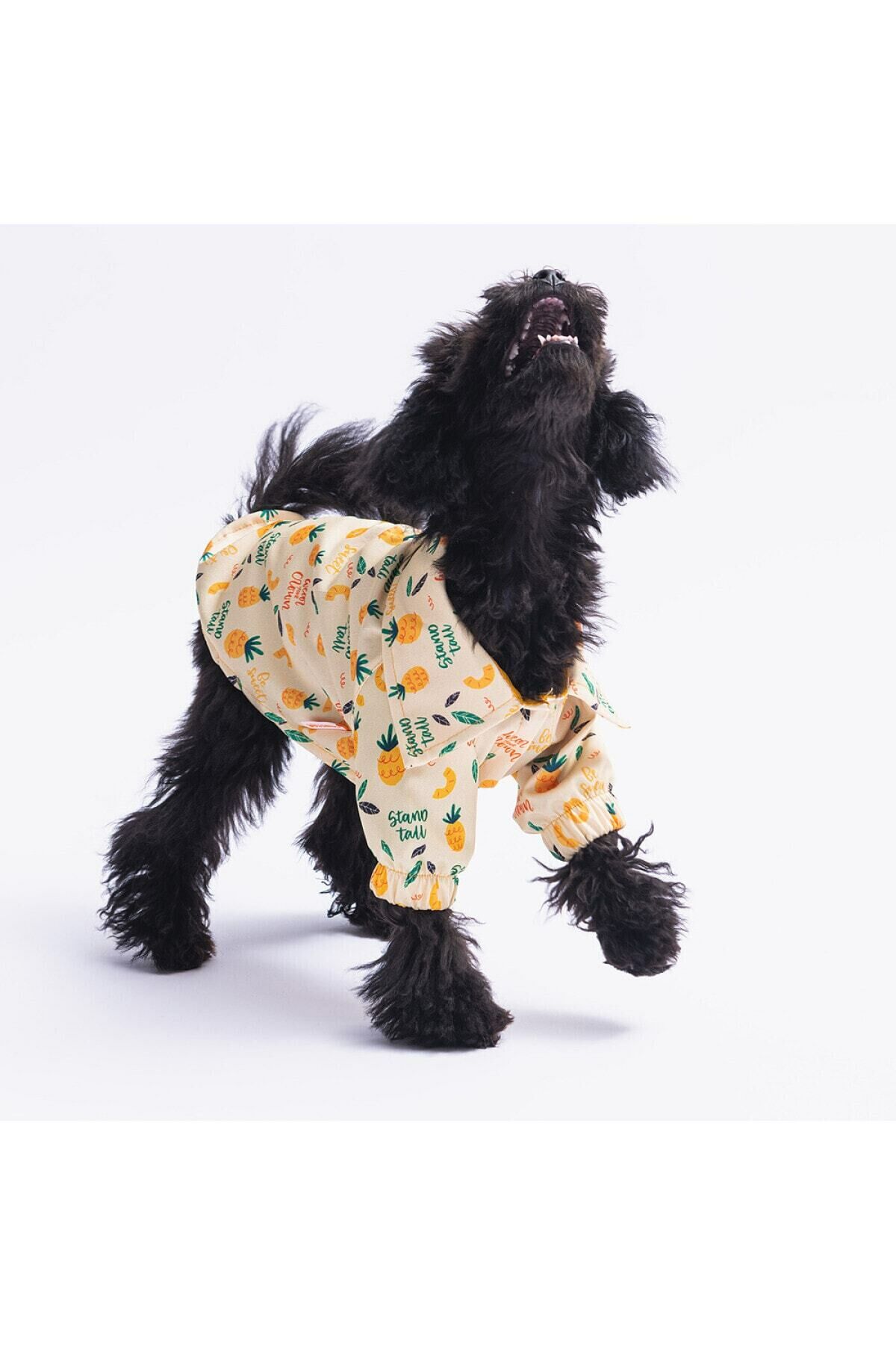 Pineapple Kedi Köpek Gömleği - Kedi Köpek Kıyafeti
