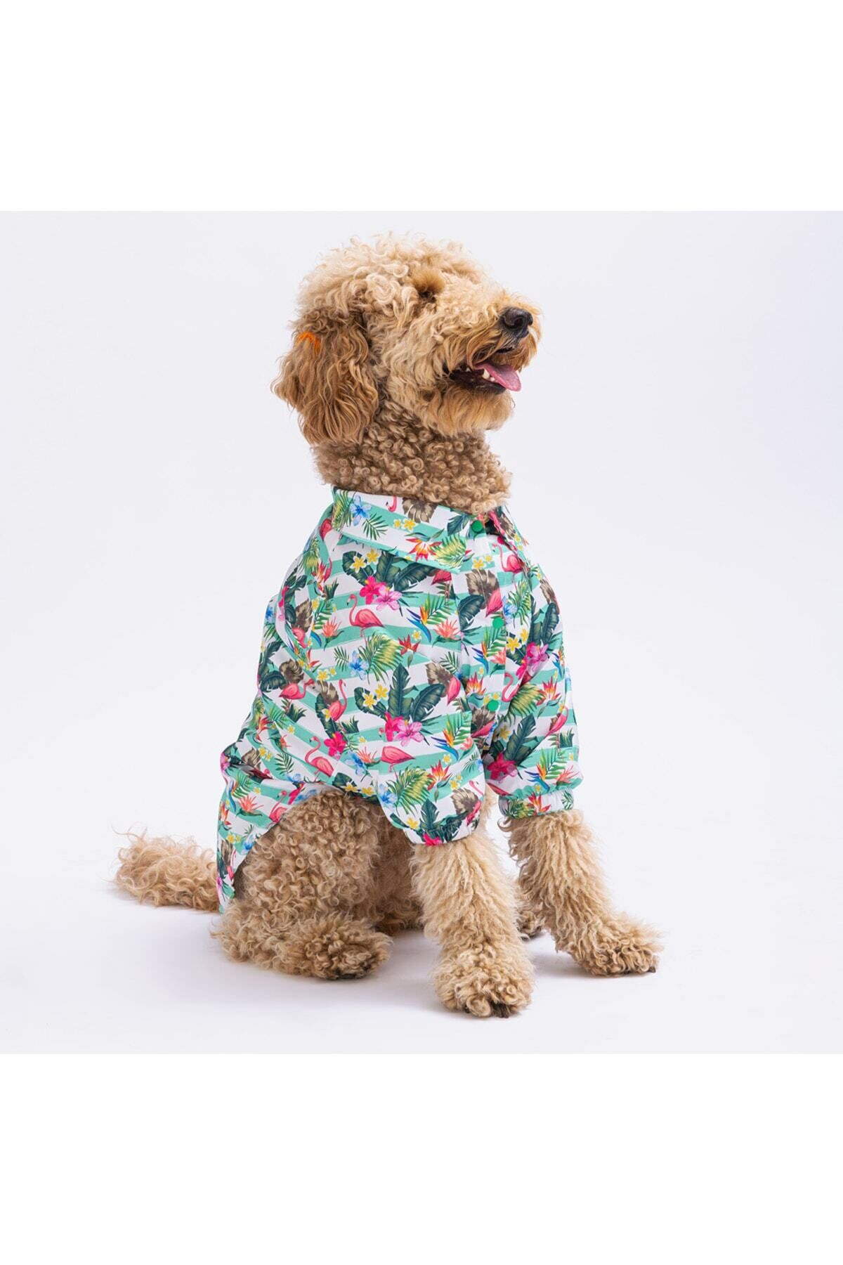 Hawai Büyük Köpek Gömleği - Köpek Kıyafeti (15 KG-45 KG)