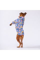 Dinosaurum Fileli Orta ve Büyük Irk Köpek Montu Köpek Yağmurluk Köpek Elbisesi Köpek Kıyafeti