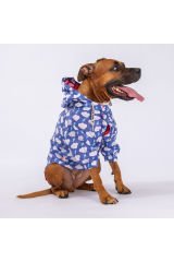 Tonitruum Fileli Orta ve Büyük Irk Köpek Montu Köpek Yağmurluk Köpek Elbisesi Köpek Kıyafeti