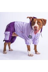 Lila-Mor BiColor Orta ve Büyük Irk Köpek Tulum Yağmurluğu Köpek Yağmurluk Köpek Kıyafeti