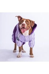 Lila-Mor BiColor Orta ve Büyük Irk Köpek Tulum Yağmurluğu Köpek Yağmurluk Köpek Kıyafeti