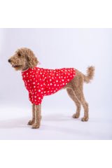Kırmızı Stars Orta ve Büyük Irk Köpek Montu Köpek Yağmurluk Köpek Elbisesi Köpek Kıyafeti