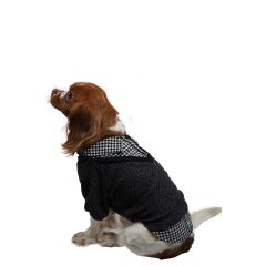 Siyah College Triko Sweat Kedi Köpek Sweat Kedi Köpek Kıyafeti