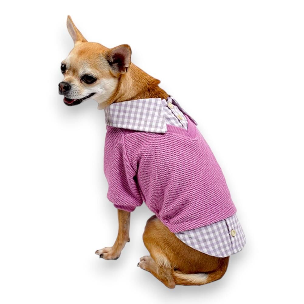 Pembe College Triko Sweat Kedi Köpek Sweat Kedi Köpek Kıyafeti
