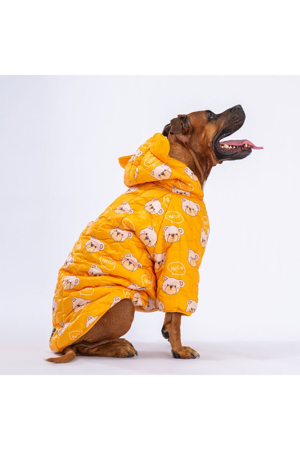 Sarı Teddy Puff Orta ve Büyük Irk Köpek Montu Köpek Yağmurluk Köpek Kıyafeti Köpek Elbisesi